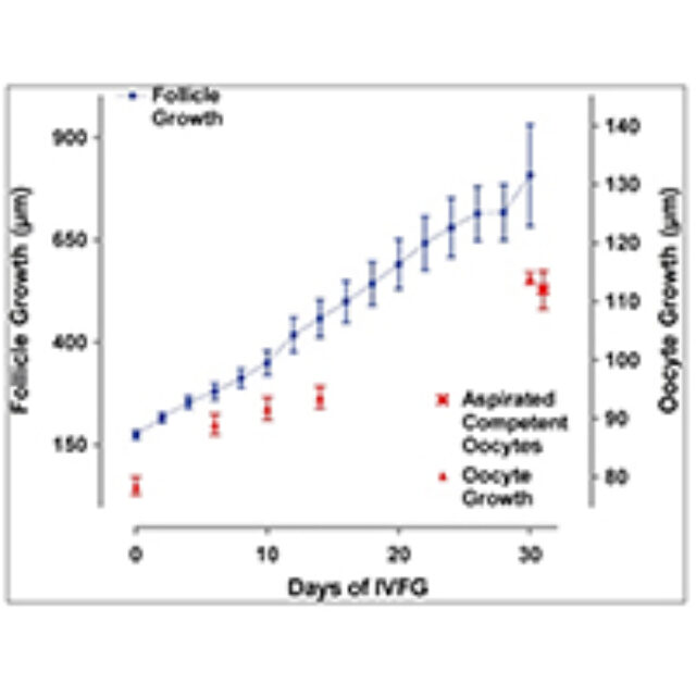 method for in vitro growth of ovarian follicles