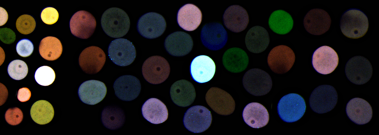 slide image - 