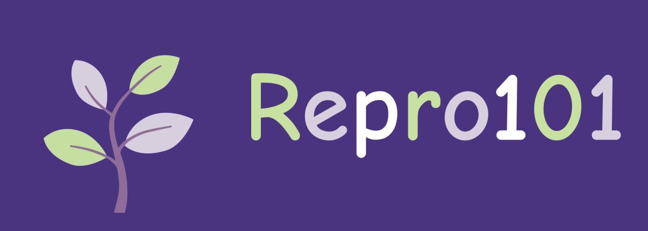 slide image - Repro101